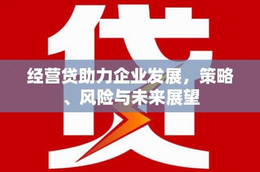 龙游经营贷助力企业发展，策略、风险与未来展望