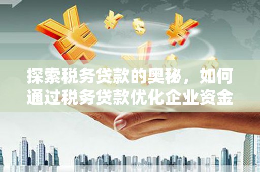 龙游探索税务贷款的奥秘，如何通过税务贷款优化企业资金流