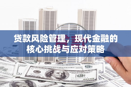 龙游贷款风险管理，现代金融的核心挑战与应对策略