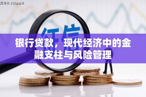 龙游银行贷款，现代经济中的金融支柱与风险管理