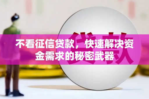 龙游不看征信贷款，快速解决资金需求的秘密武器