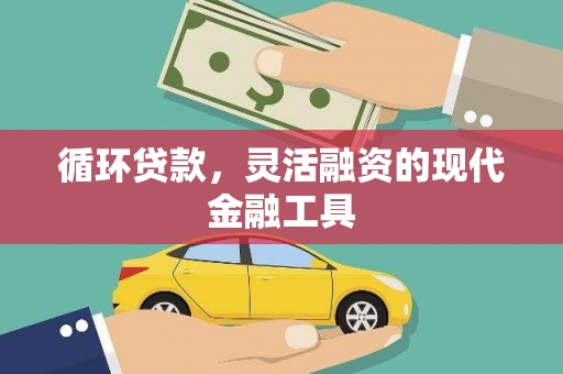 龙游循环贷款，灵活融资的现代金融工具