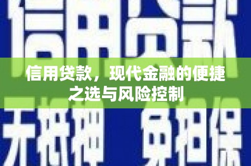 龙游信用贷款，现代金融的便捷之选与风险控制