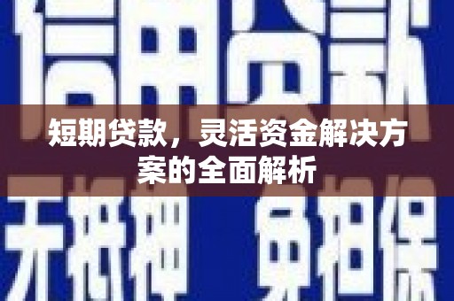 龙游短期贷款，灵活资金解决方案的全面解析