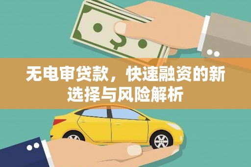 龙游无电审贷款，快速融资的新选择与风险解析