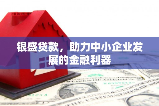 龙游银盛贷款，助力中小企业发展的金融利器