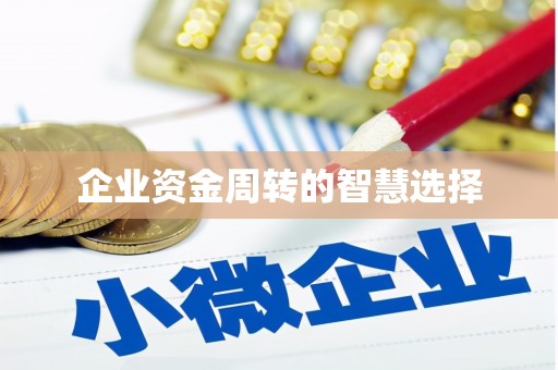龙游企业资金周转的智慧选择