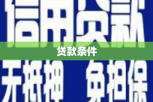 龙游贷款条件