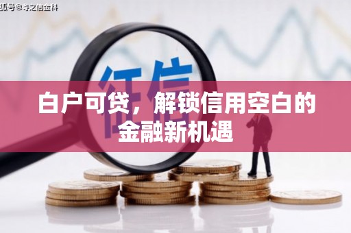 龙游白户可贷，解锁信用空白的金融新机遇