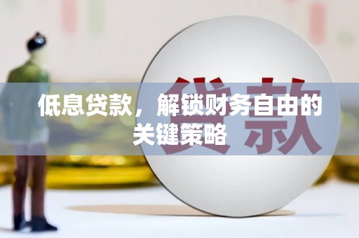 龙游低息贷款，解锁财务自由的关键策略