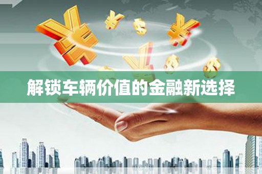 龙游解锁车辆价值的金融新选择