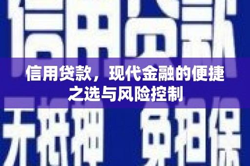 龙游信用贷款，现代金融的便捷之选与风险控制