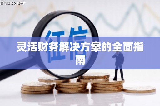 龙游灵活财务解决方案的全面指南