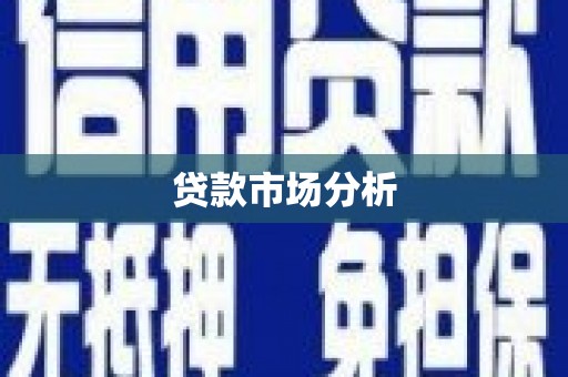 龙游贷款市场分析