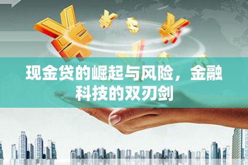 龙游现金贷的崛起与风险，金融科技的双刃剑