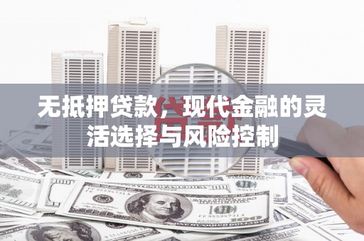 龙游无抵押贷款，现代金融的灵活选择与风险控制