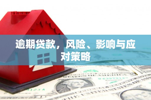 龙游逾期贷款，风险、影响与应对策略