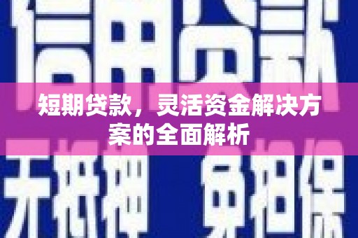 龙游短期贷款，灵活资金解决方案的全面解析