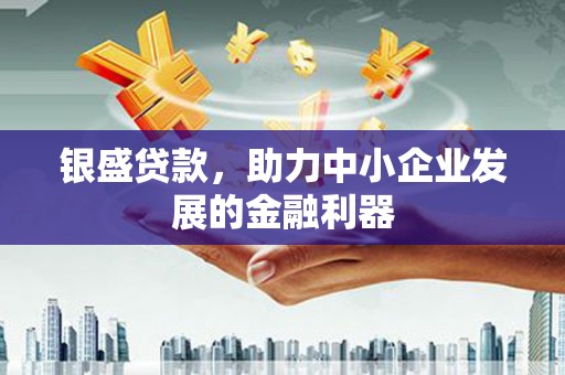 龙游银盛贷款，助力中小企业发展的金融利器
