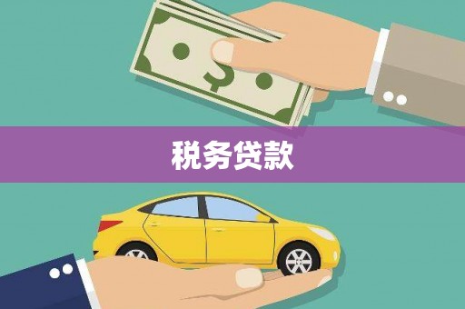 龙游税务贷款