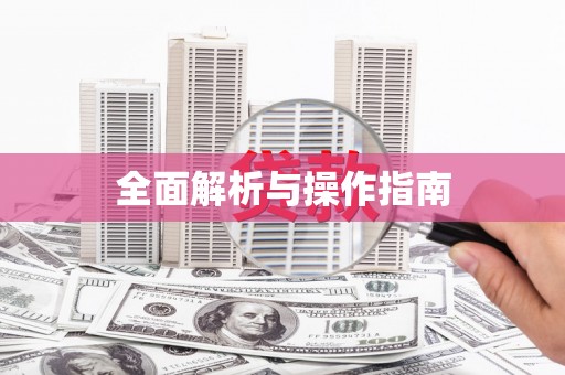 龙游全面解析与操作指南