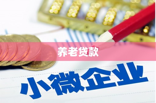 龙游养老贷款