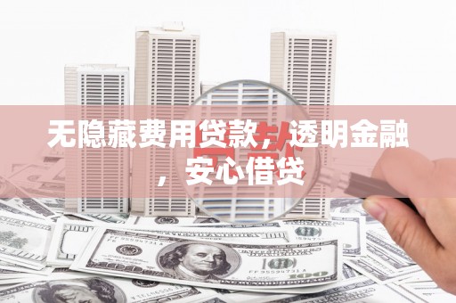 龙游无隐藏费用贷款，透明金融，安心借贷