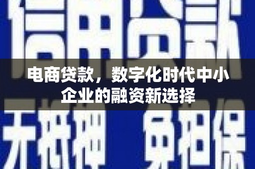 龙游电商贷款，数字化时代中小企业的融资新选择