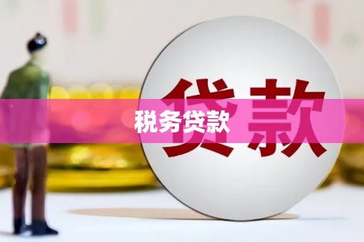 龙游税务贷款