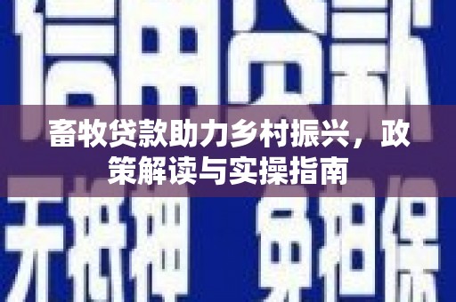 龙游畜牧贷款助力乡村振兴，政策解读与实操指南