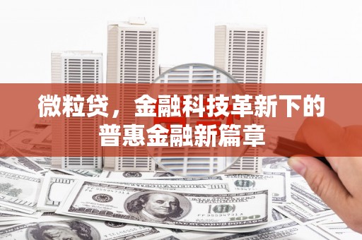 龙游微粒贷，金融科技革新下的普惠金融新篇章