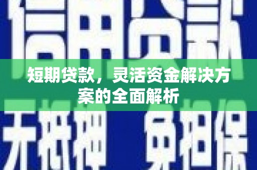 龙游短期贷款，灵活资金解决方案的全面解析