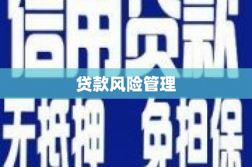 龙游贷款风险管理
