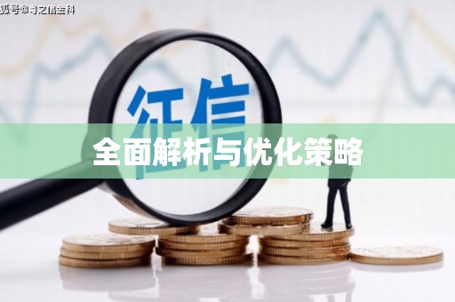 龙游全面解析与优化策略