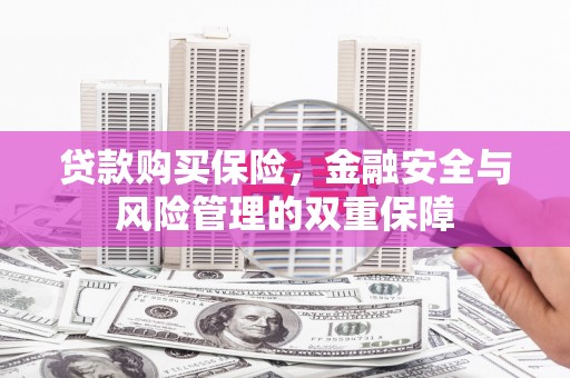龙游贷款购买保险，金融安全与风险管理的双重保障