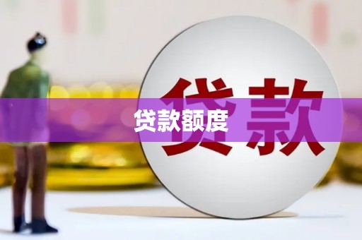 龙游贷款额度
