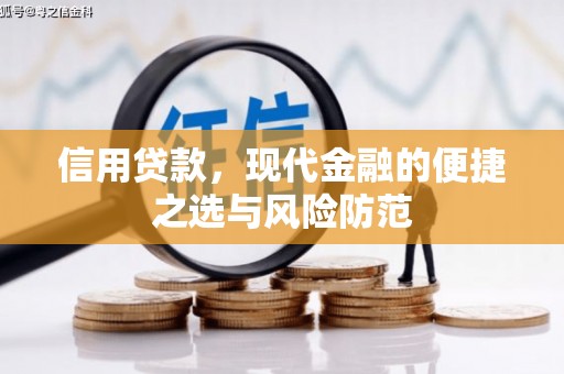 龙游信用贷款，现代金融的便捷之选与风险防范