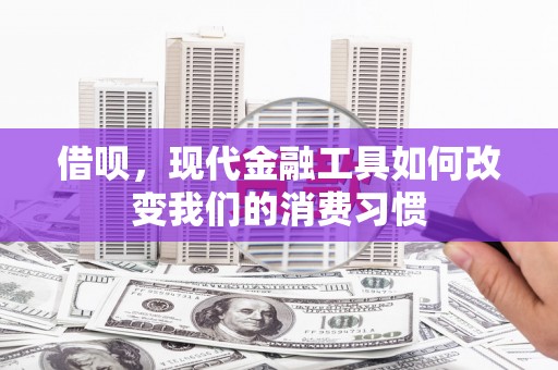 龙游借呗，现代金融工具如何改变我们的消费习惯