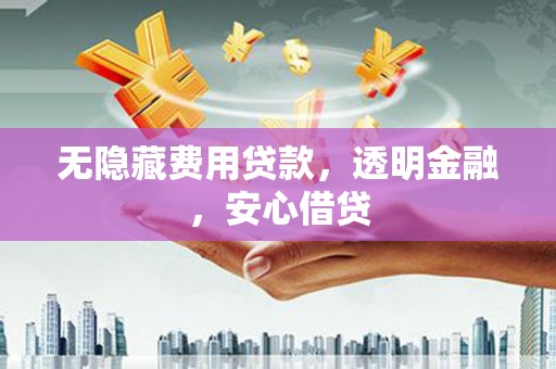 龙游无隐藏费用贷款，透明金融，安心借贷