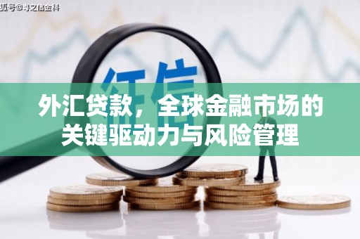 龙游外汇贷款，全球金融市场的关键驱动力与风险管理