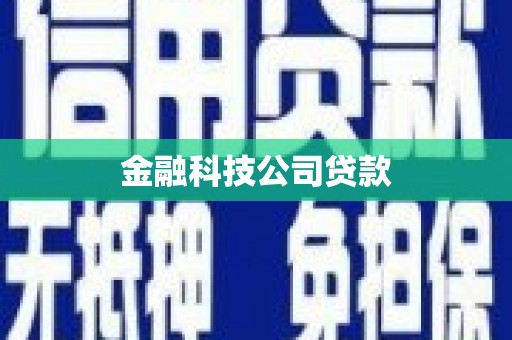 龙游金融科技公司贷款