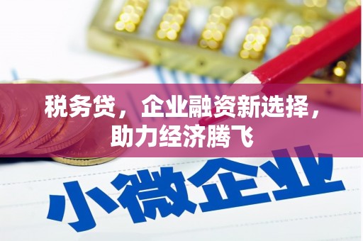 龙游税务贷，企业融资新选择，助力经济腾飞
