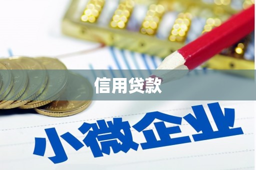 龙游信用贷款