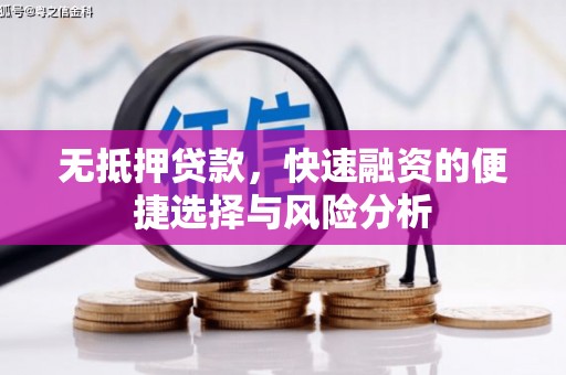 龙游无抵押贷款，快速融资的便捷选择与风险分析