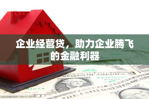 龙游企业经营贷，助力企业腾飞的金融利器
