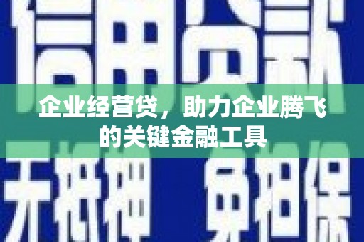 龙游企业经营贷，助力企业腾飞的关键金融工具