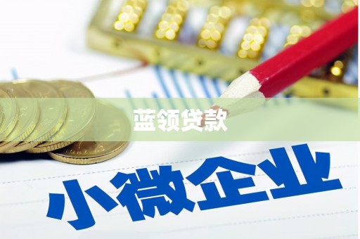 龙游蓝领贷款
