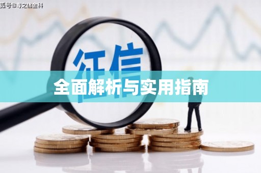 龙游全面解析与实用指南