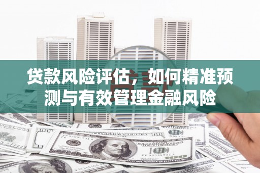 龙游贷款风险评估，如何精准预测与有效管理金融风险