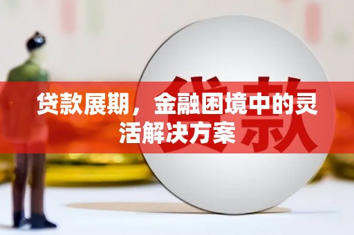 龙游贷款展期，金融困境中的灵活解决方案